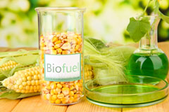 Bac biofuel availability