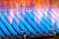 Bac gas fired boilers